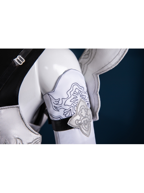 Game Honkai Impact 3 Raiden Mei Halloween Cosplay Costume Full Set