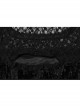 Black Lace Mesh Patchwork Velvet Rose Embossed Chest Embroidery Patch With Flared Sleeves Gothic Style Long Sleeved Dress