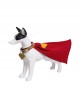 Movie Superman Krypto The Superdog Halloween Cosplay Dog Costume Full Set