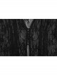 Black Exquisite Pointed Collar Irregular Hem Light Elegant Lace Gothic Style Long Sleeves Coat