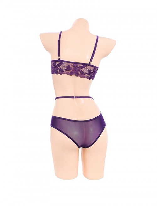 Purple See-Through Lace Side Waist Hollow Open Crotch Three-Point Jumpsuit Sexy Lingerie