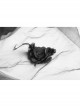 Diaphanous Flowing Mesh Lacey Lace 3D Flower Decoration Black Gothic Veil