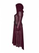 Front Chest Decals Long Sleeve Back Waist Lace-Up Wine Red Gothic Plus Size Mesh Hooded Coat