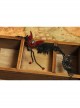 Gothic Retro Vampire Black Lace Female Butterfly Palace Style Ruby Choker