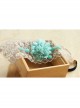 Fashion White Lace Blue Flowers Holiday Travel Christmas Headband