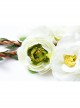 Fashion Casual Christmas White Wreath Rattan Holiday Bride Bridesmaid Hair Band