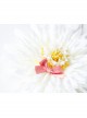 Cute Fashion Flower Exaggerated Bow White Baby Child Princess Year Old Holiday Headband