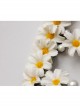 Fashion Retro Christmas White Daisy Flowers Pearl Crown Bridal Female Hairband