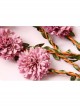 Fashion Travel Fabric Pink Flowers Creativity Handmade Christmas Wreath Rattan Hairband