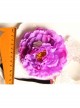 Fashion Leisure Purple Flowers Bear White Lace Bride Seaside Tourism Wide Hair Band