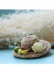 Fashion Casual Female Handmade Personality Cute Little Straw Hat Rose Christmas Retro Brooch