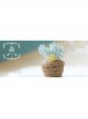 Handmade Personality Blue Stamen Yellow Rose Flower Christmas Female Retro Fashion Cute Small Brooch