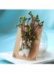 Retro Simple Green Tree White Lace Handmade Fashion Female Small Brooch