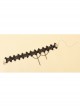 Fashion Personality Simple Gothic Black Lace Flower Tassel Female Anklet