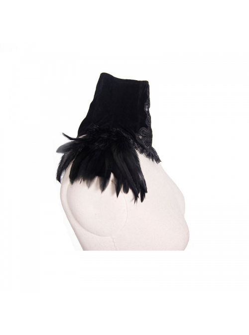 Black Gothic Feather Decorated Lace Velveteen Collar