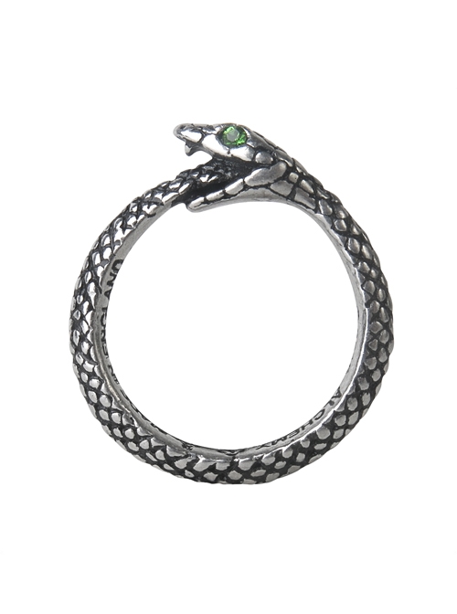 Punk Retro Gothic Fashion Ouroboros Ring