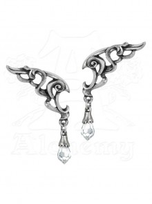 Punk Eternal Wings Crystal Pendant Earrings